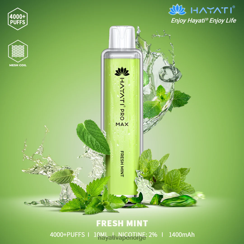 Hayati Pro Max engangs HB4400104 frisk Mint Hayati vape flavours