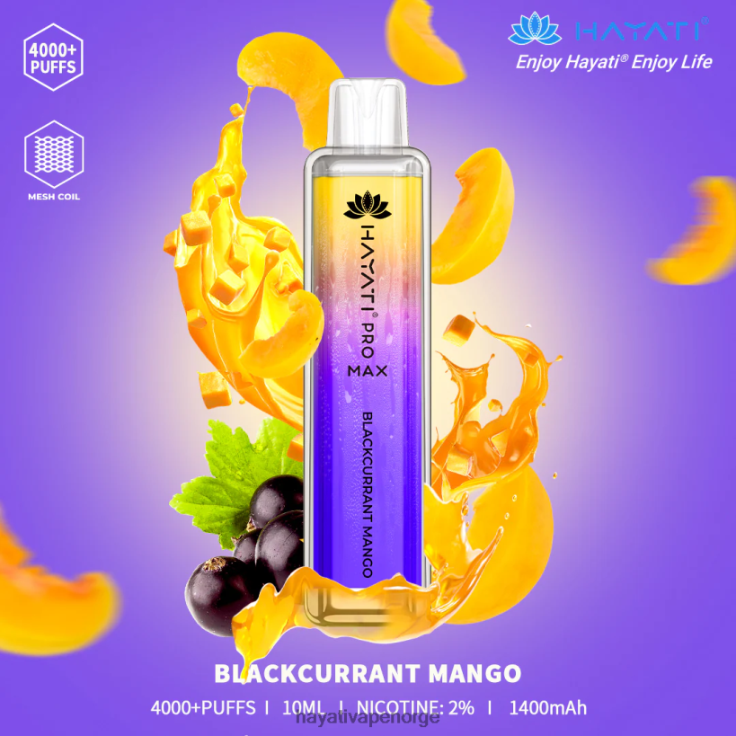 solbær mango