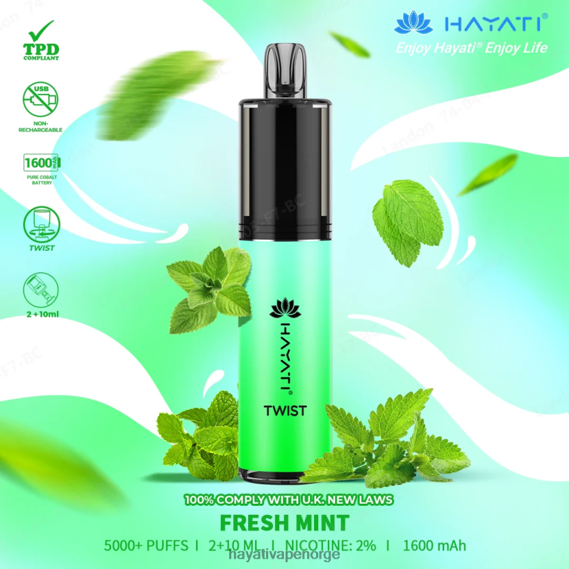 Hayati Twist engangs HB440070 frisk Mint Hayati vape shop