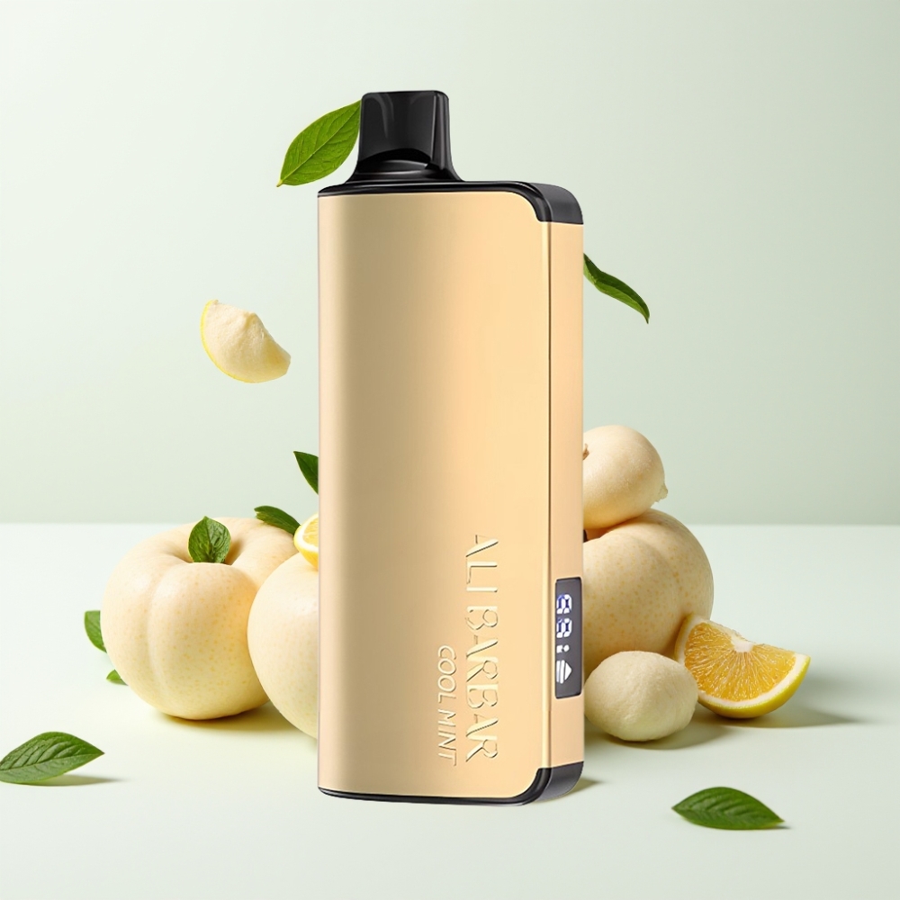 Alibarbar Ingot 9000 Puffs 22ml 2350mAh Kjølig Mynte