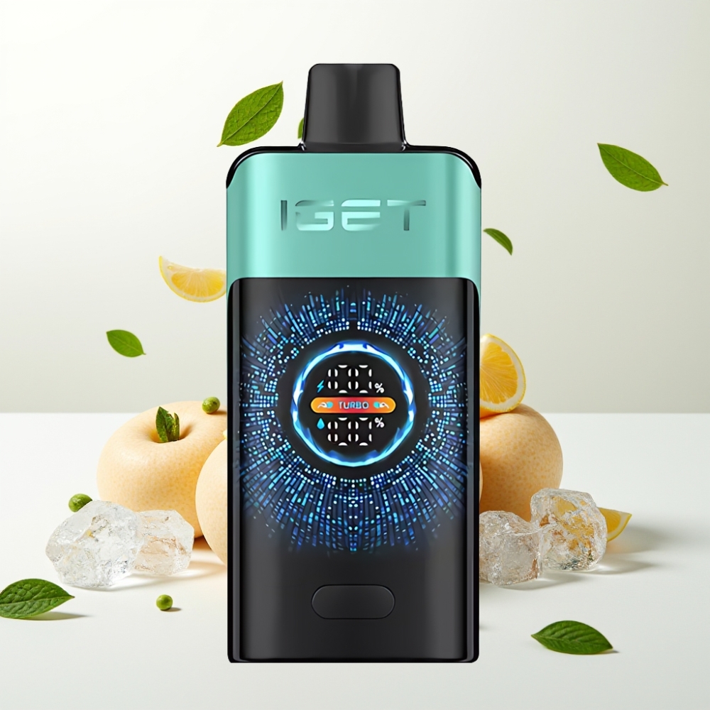 IGET ONE 12000 Puffs 2700 mAh Fjellkilde Mynteis Engangsdamp